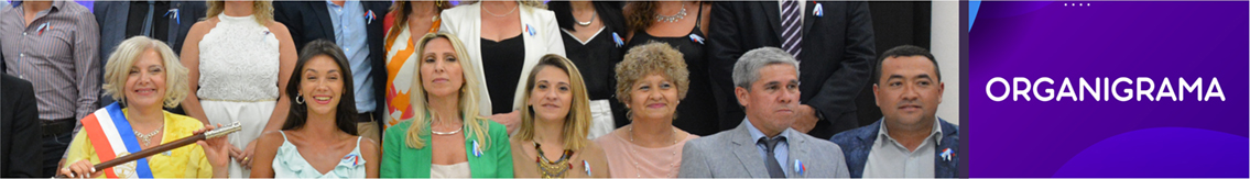 Organigrama Organigrama